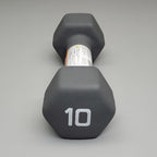 Dumbbells Fury Fits
