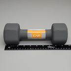 Dumbbells Fury Fits
