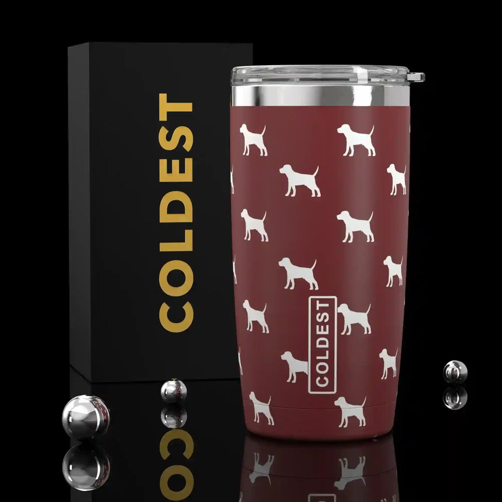 Coldest 20 oz Tumbler v2 Coldest