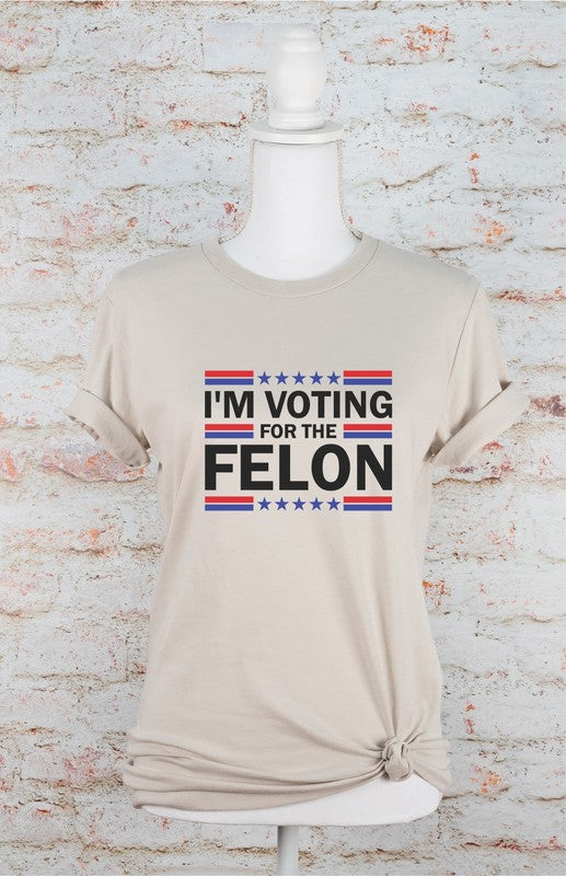 I'm Voting for the Felon Softstyle Plus Size Tee Hailey Brook Designs