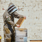 Professional Triple Layer Ventilated Full Beekeeping Suit Sting Stopper