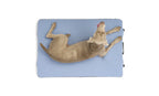 HEST Dog Bed HEST