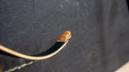 The Bob Garner – Limbs ONLY - 7 week lead time Shatterproof Archery