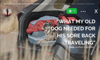 HEST Dog Bed HEST