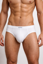Men's Bamboo Viscose Briefs Underwear Spun Bamboo