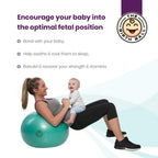 Buy The Birth Ball | # 1 Selling Birthing Ball For Pregnancy and Labor - FREE Rush Shipping The Birth Ball