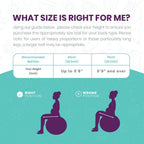 Buy The Birth Ball | # 1 Selling Birthing Ball For Pregnancy and Labor - FREE Rush Shipping The Birth Ball